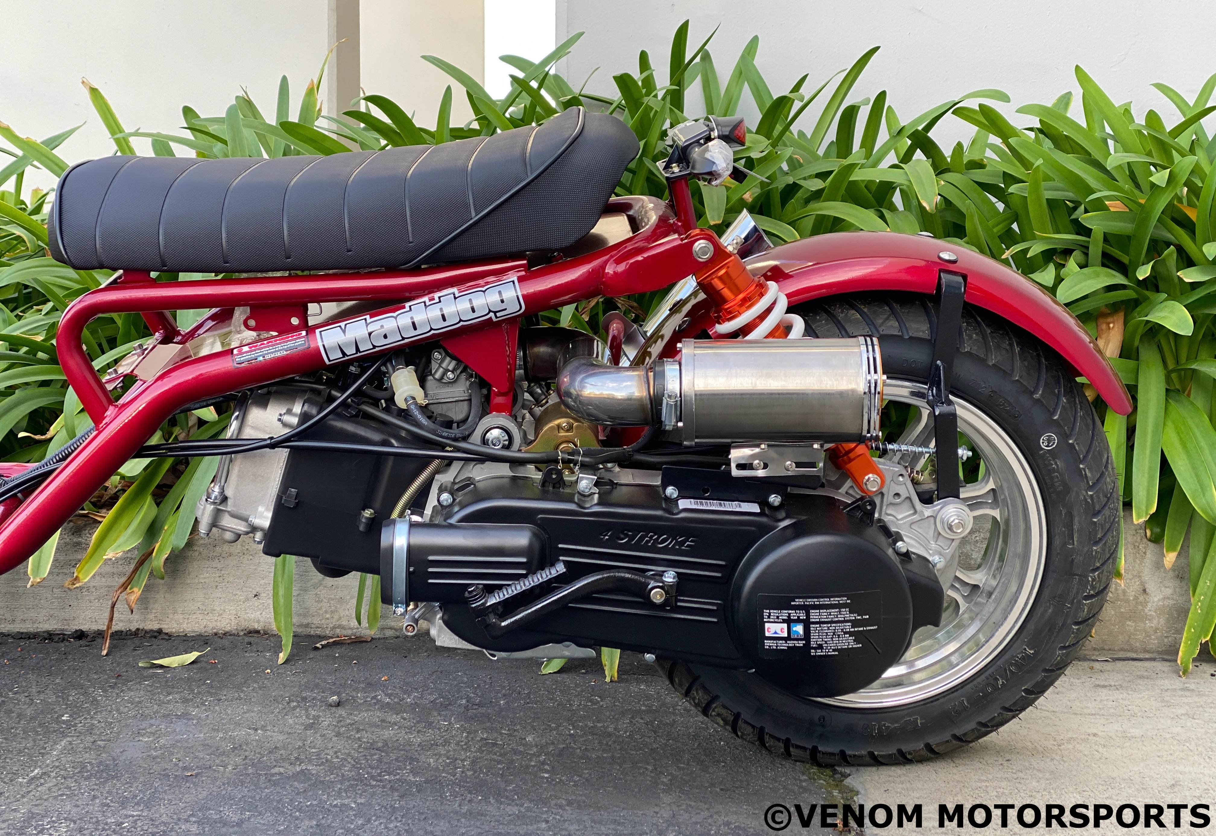 150cc Maddog Scooter | Generation 4 | Automatic Transmission - Image 18