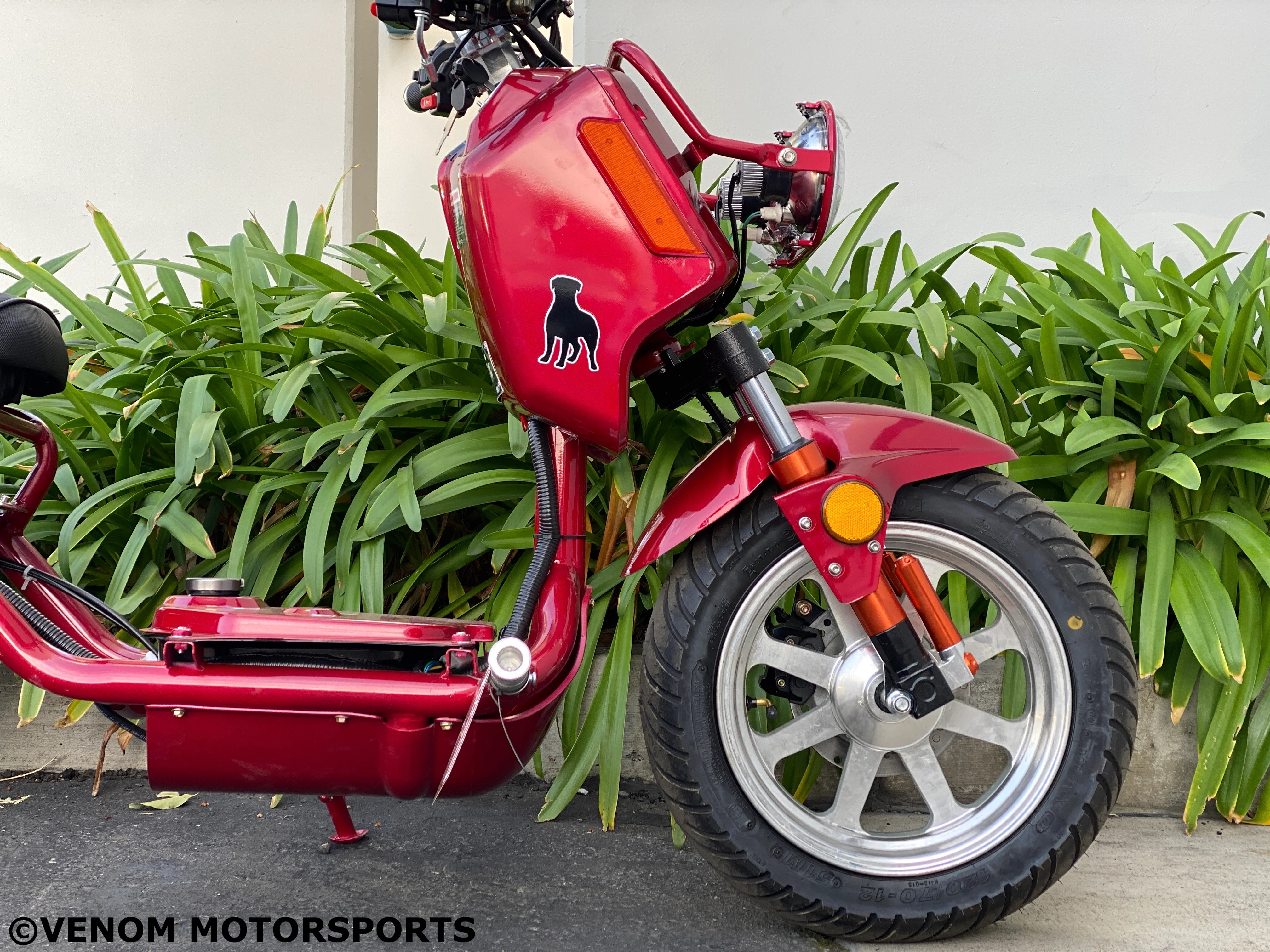 150cc Maddog Scooter | Generation 4 | Automatic Transmission - Image 24
