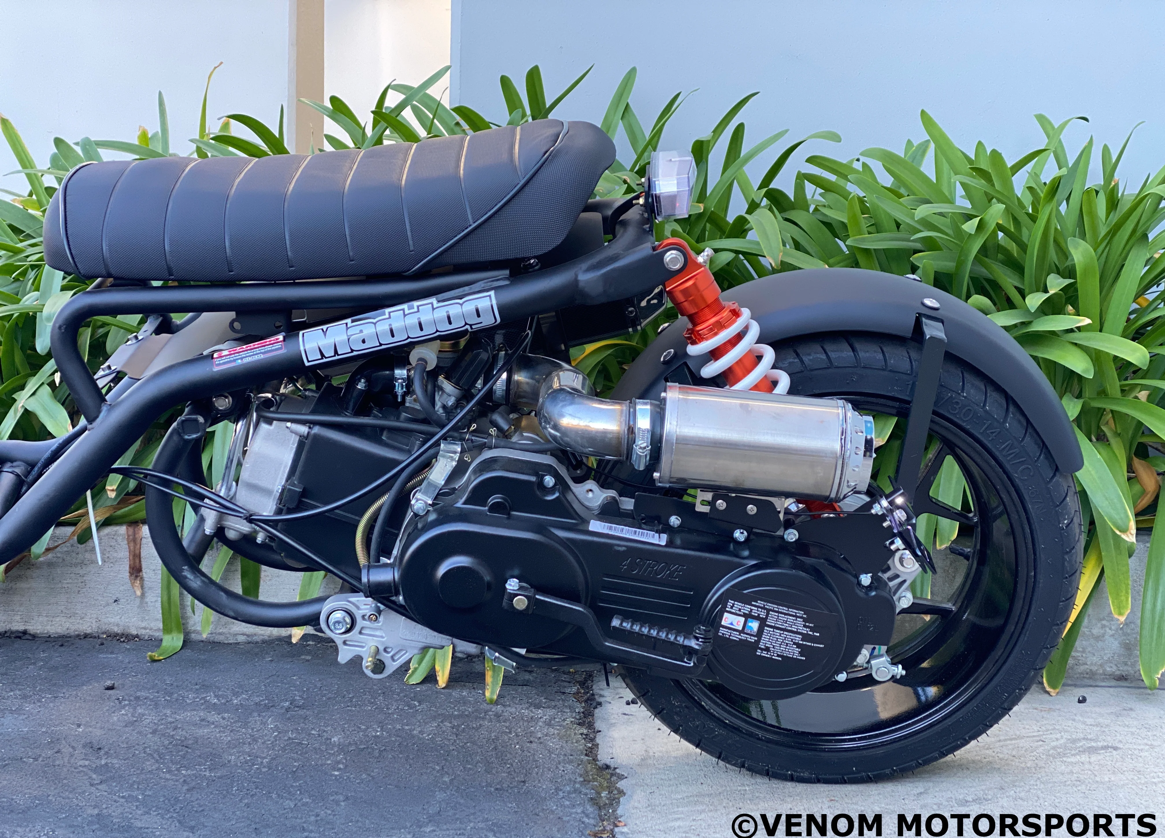 50cc Maddog Scooter | Generation 5 | Automatic Transmission - Image 29