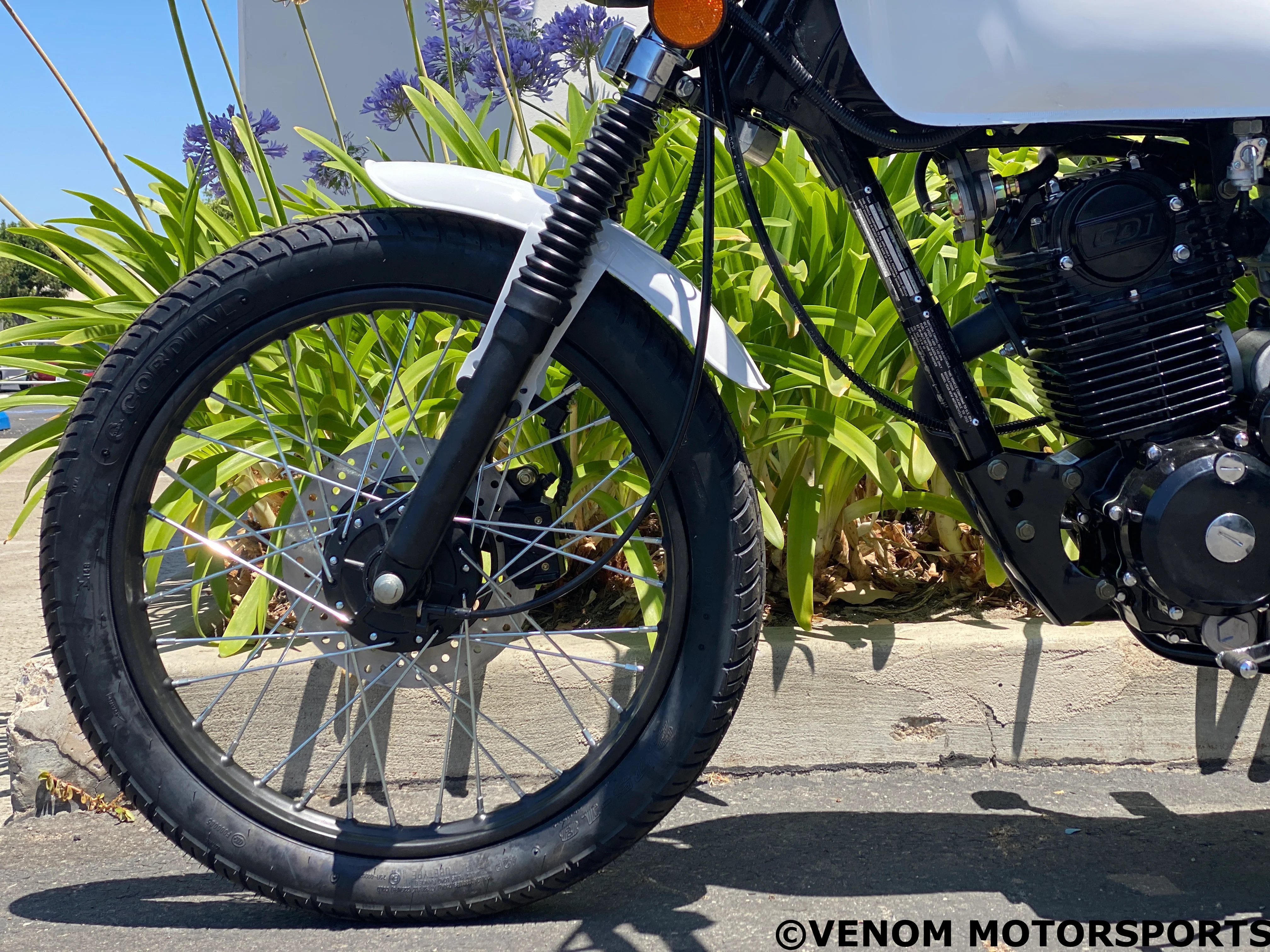 Venom Sportster | 250cc Chopper | 5 Speed - Image 3