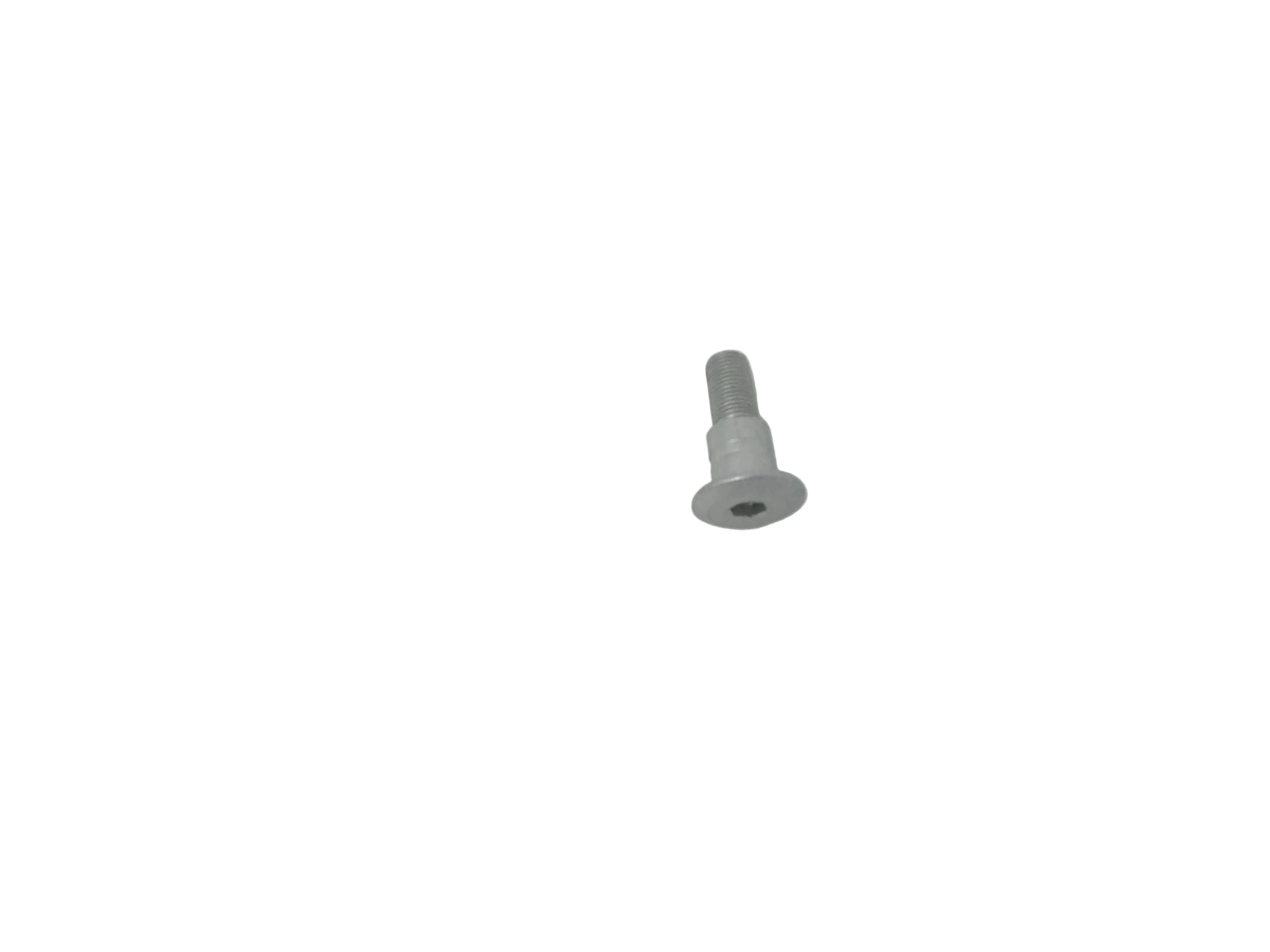 X19 200cc Automatic Motorcycle | Kickstand Bolt (15010063)